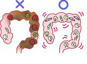 「腸」の画像検索結果
